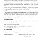 borsa costaguti_Pagina_2