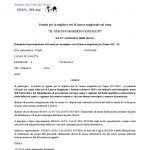 borsa costaguti_Pagina_3